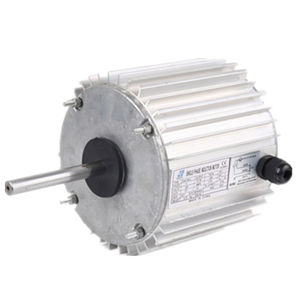 Fan motor EVA